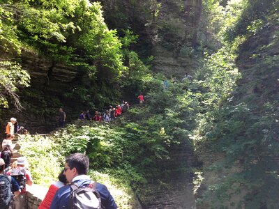 Small Cascades, Watkins Glen State Park, New York