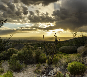 Albuquerque, New Mexico. Sunset photo