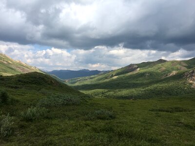 Walking trail near Haines Alaska in summer photo