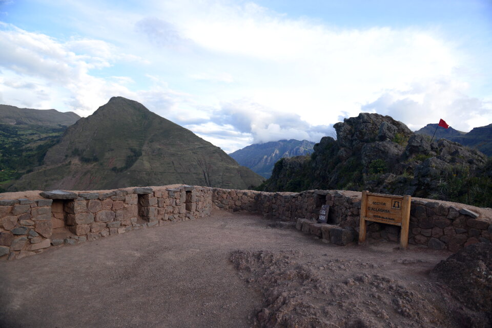 Golden rice field near Cusco, Peru
