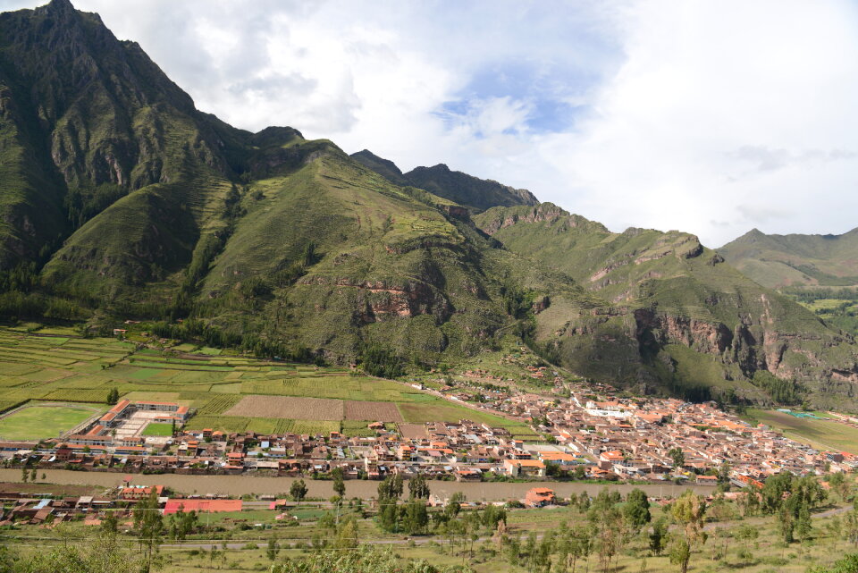 Golden rice field near Cusco, Peru