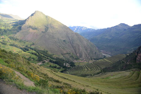 Golden rice field near Cusco, Peru photo