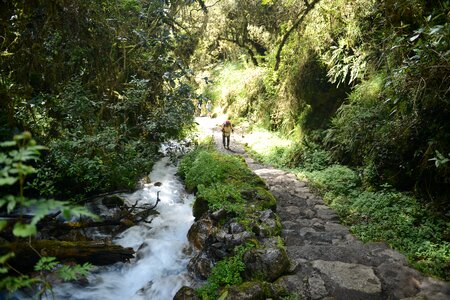Inca porters to carry tourists luggage and camping facilities