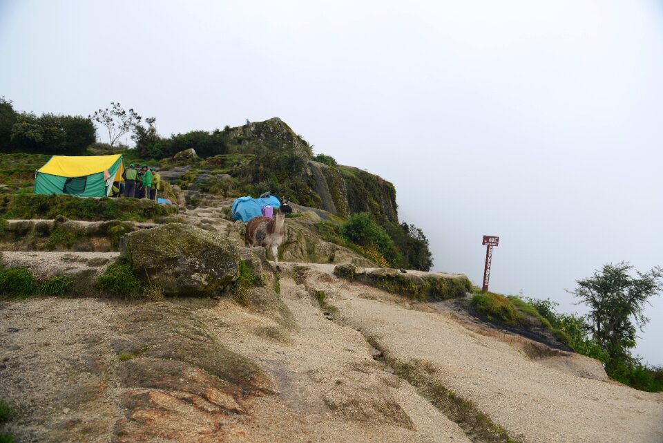 Tourists hiking the Inca Classic Trail in Peru
