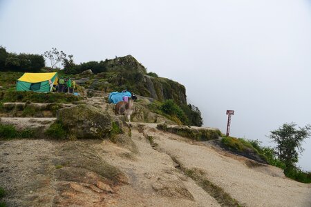Tourists hiking the Inca Classic Trail in Peru