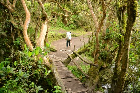 Inca porters to carry tourists luggage and camping facilities