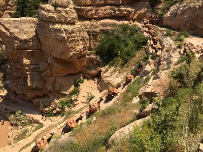 Red Rock Secret Mountain Wilderness vista