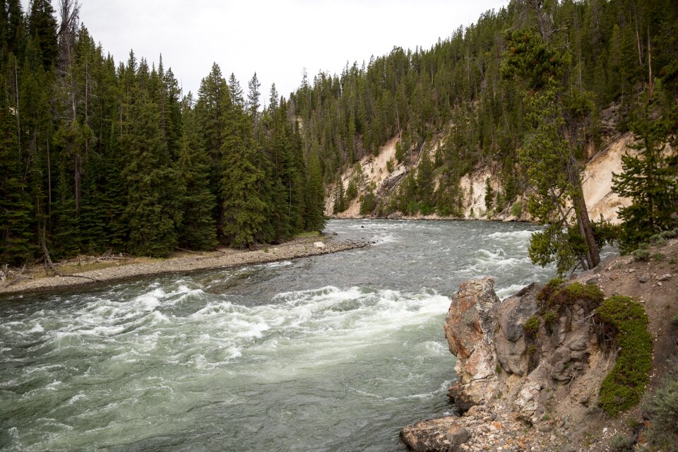 South Rim of the Grand Canyon of the Yellowstone in Yellowstone