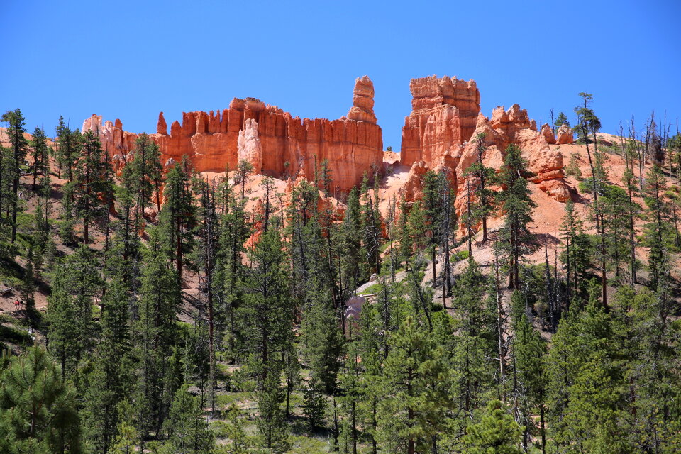 Bryce Canyon National Park at Navajo Loop Trail, Utah