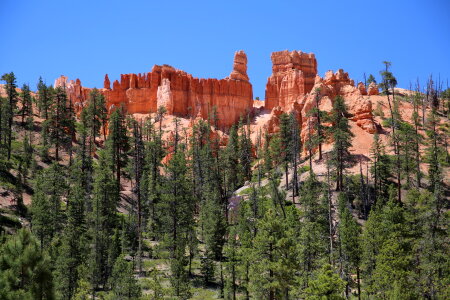 Bryce Canyon National Park at Navajo Loop Trail, Utah