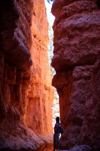 Hikers on the Queens Garden Trail Bryce Canyon National Park