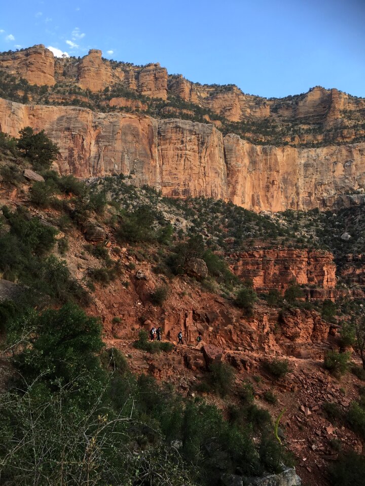 People riding up a trail at the Grand Canyon
