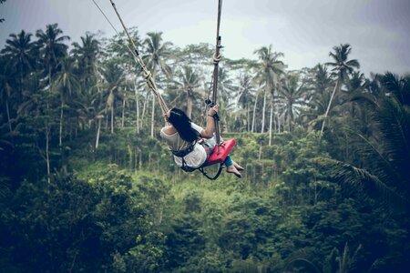 Woman swinging in the jungle of Bali island photo