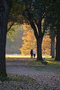 Human walk eventide photo