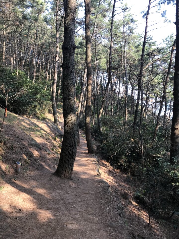 Haeundae Moontan Road Walk Trail