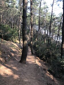 Haeundae Moontan Road Walk Trail photo