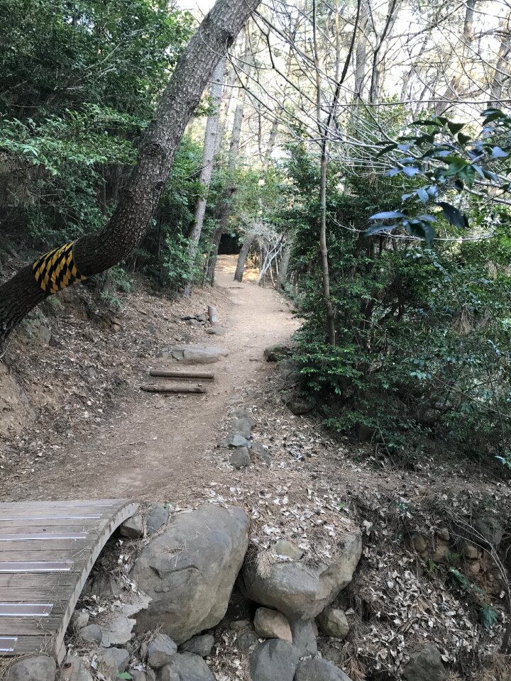 Haeundae Moontan Road Walk Trail