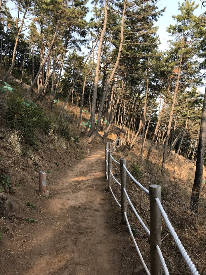 Haeundae Moontan Road Walk Trail