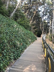 Haeundae Moontan Road Walk Trail