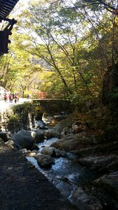 Forest river, beautiful landscape of National Park