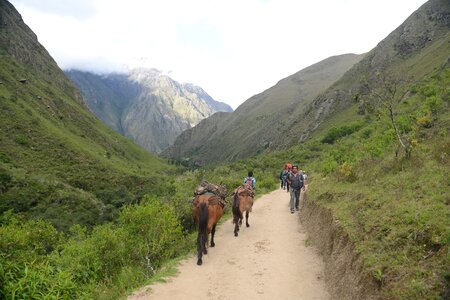 People and horses carrying goods along the Inca Trail