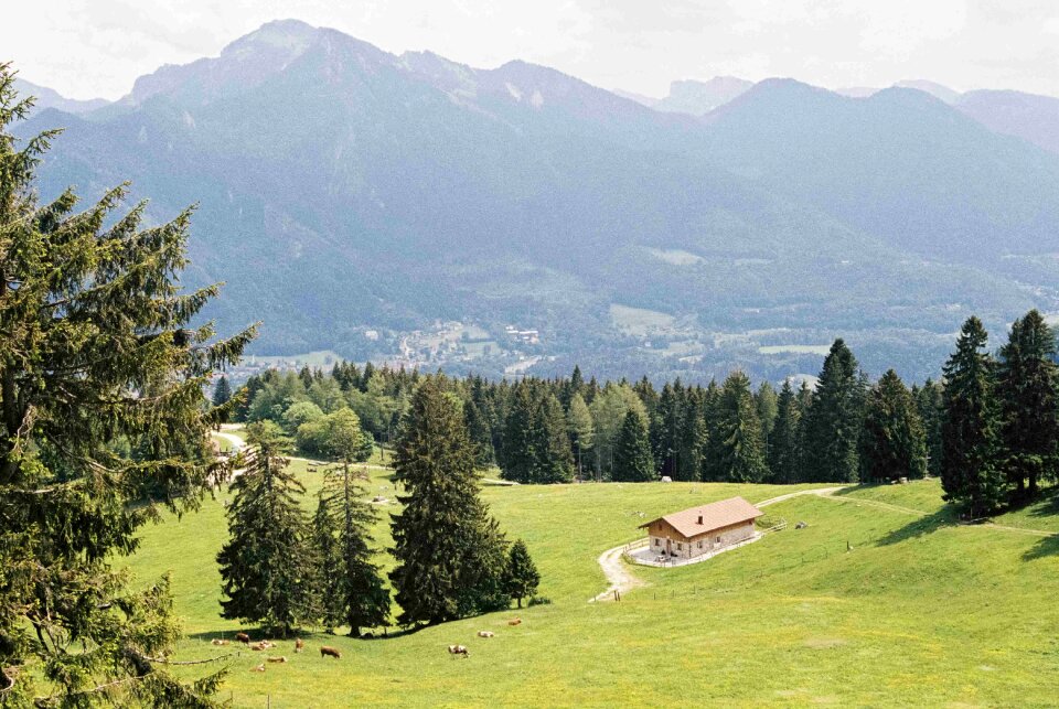 summit cross of mountain Hochgern with green trees
