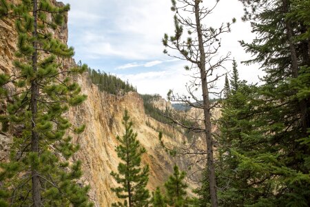 South Rim of the Grand Canyon of the Yellowstone photo