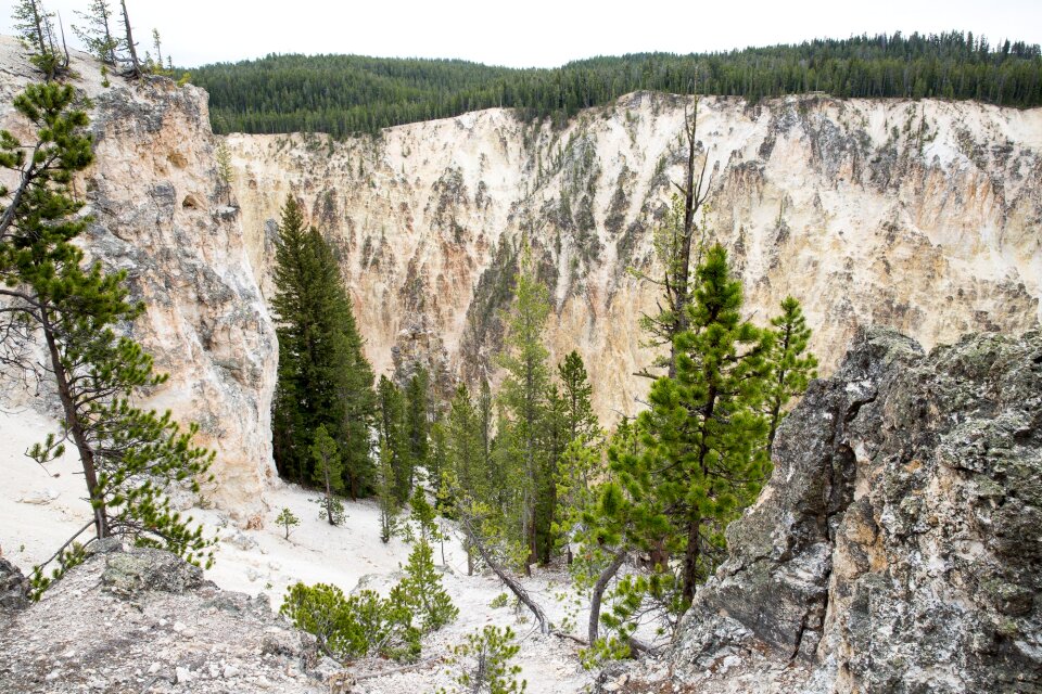 South Rim of the Grand Canyon of the Yellowstone