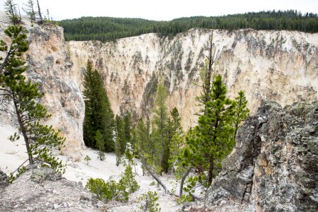 South Rim of the Grand Canyon of the Yellowstone photo