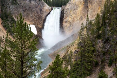 South Rim of the Grand Canyon of the Yellowstone