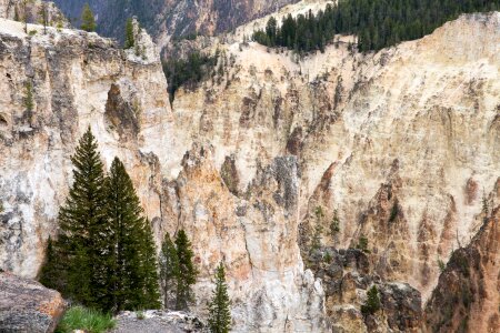 South Rim of the Grand Canyon of the Yellowstone