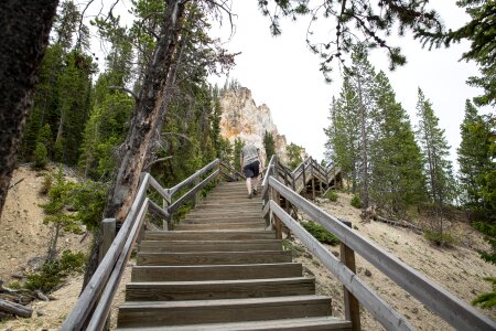 South Rim of the Grand Canyon of the Yellowstone