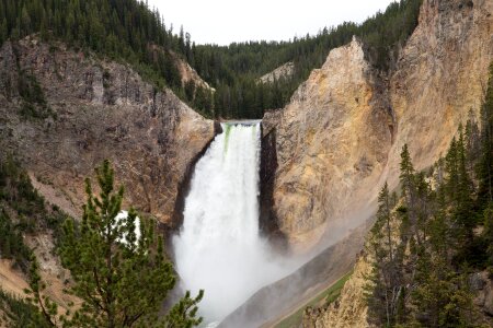South Rim of the Grand Canyon of the Yellowstone photo