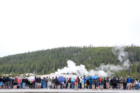 Old Faithful, Yellowstone Nationalpark, Wyoming