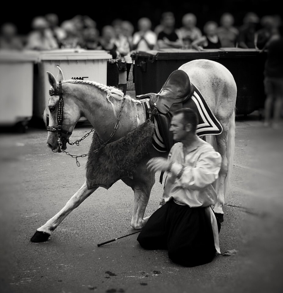 Man with the horse