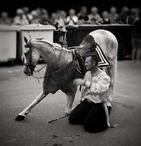 Man with the horse