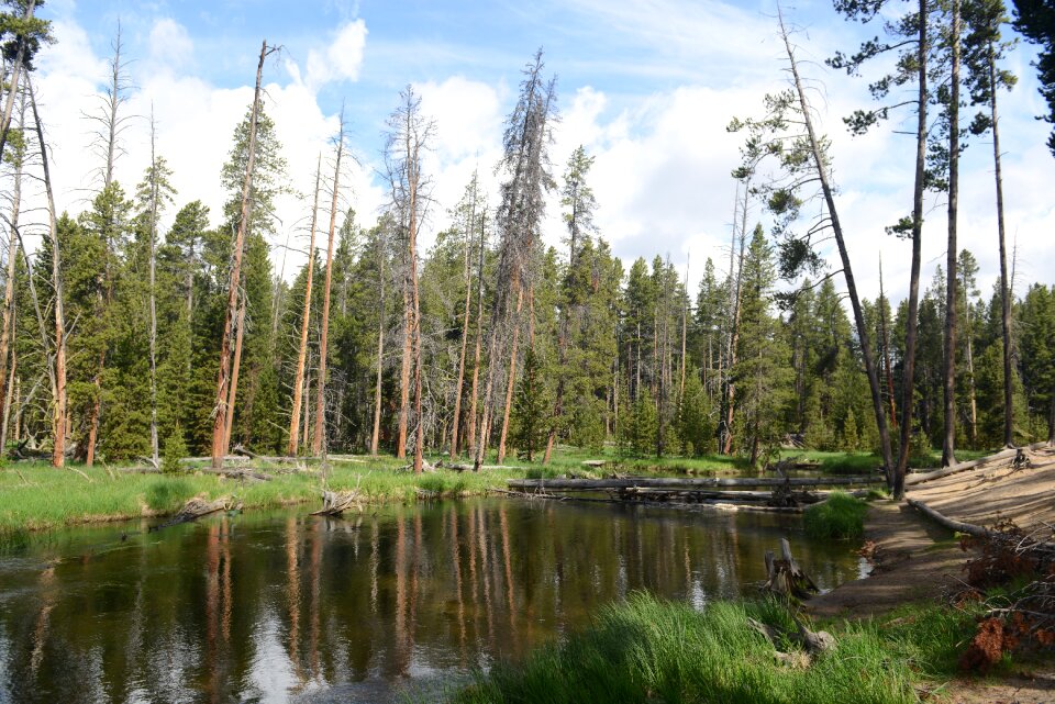 Lake in Bunsen Peak Trail. Yellowstone national park