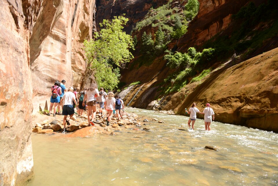 People hiking in zion narrow with virgin river