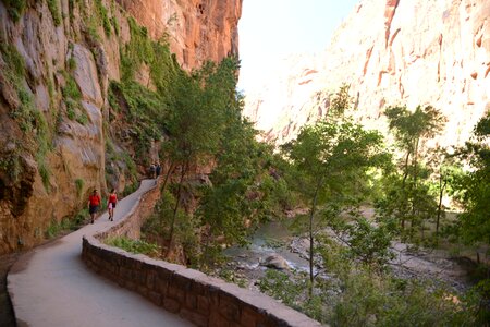 Amazing landscape of canyon in Zion National Park, The Narrow photo