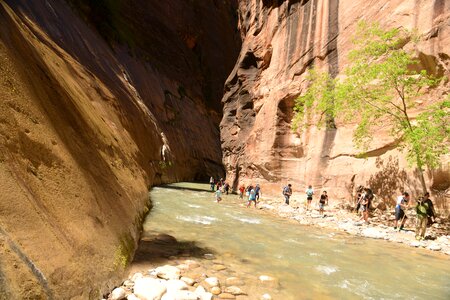 People hiking in zion narrow with virgin river photo