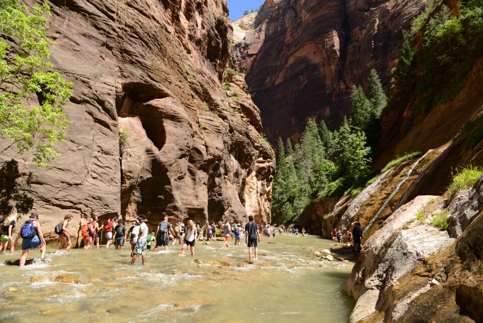 People hiking in zion narrow with virgin river