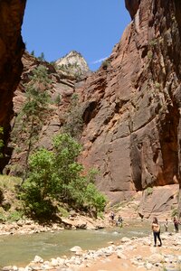 People hiking in zion narrow with virgin river