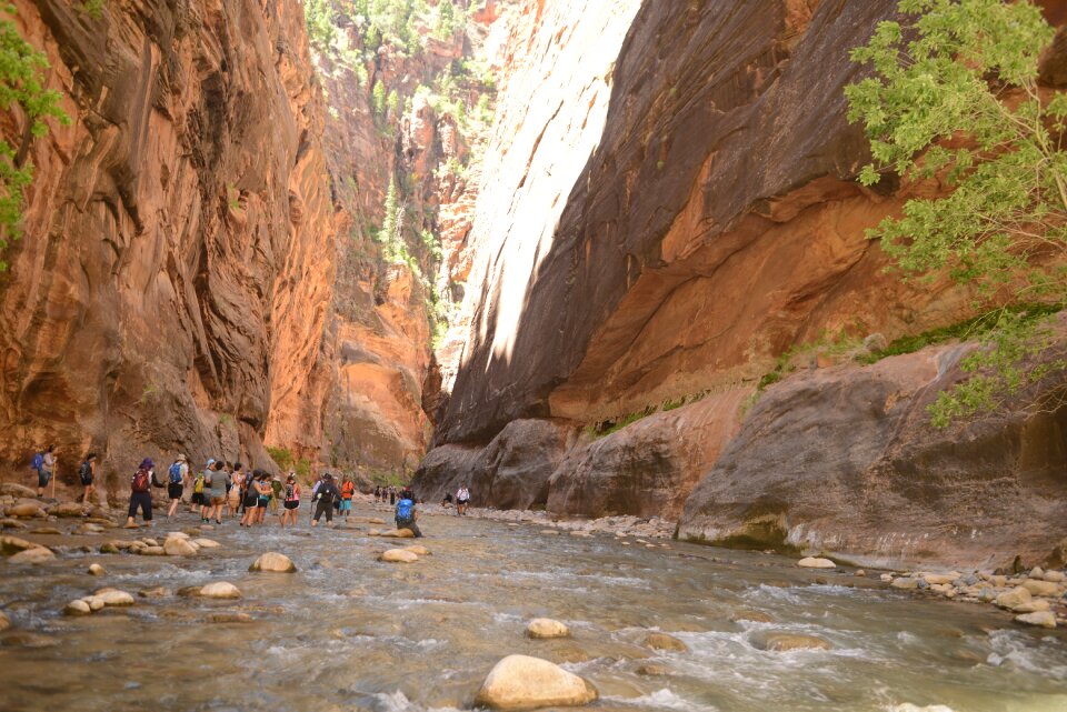 People hiking in zion narrow with virgin river