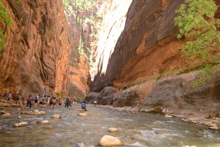 People hiking in zion narrow with virgin river photo