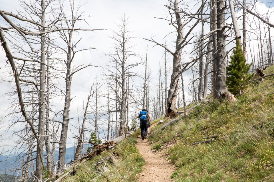Hikers in Bunsen Peak Trail. Yellowstone national park