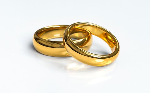 couple of gold wedding rings on white background