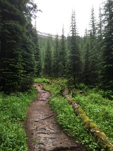 The Iceline Trail in Yoho National Park, Canadian Rockies