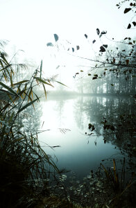 Foggy lake in morning time photo