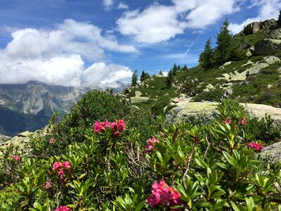 Trekking trail along the mer de glace in Chamonix Mont Blanc
