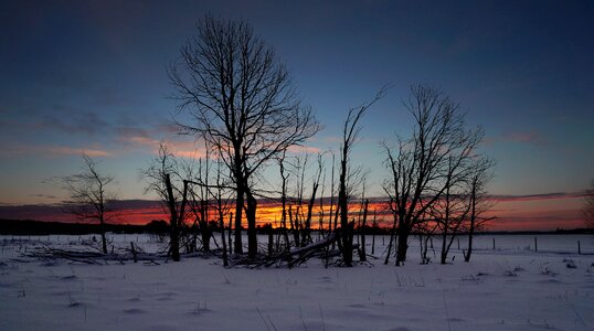 Winter sunset landscape with tree photo